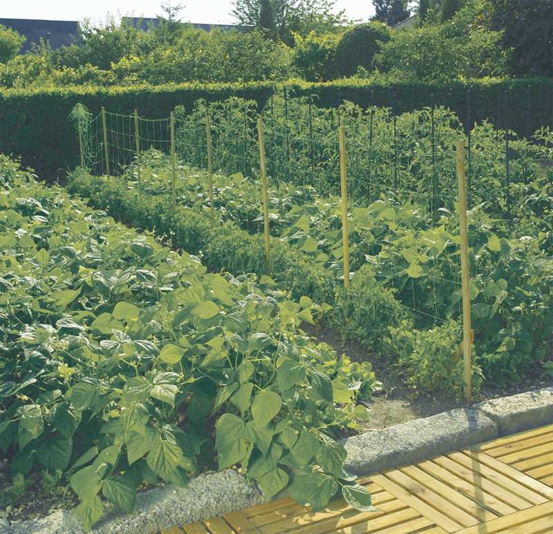 Tugivõrk ronitaimedele, Plant Trellis Netting, Шпалерная сетка для вьющихся растений
